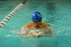 Swimming vs Bentley  Wheaton College Swimming & Diving vs Bentley College. - Photo by Keith Nordstrom : Wheaton, Swimming & Diving